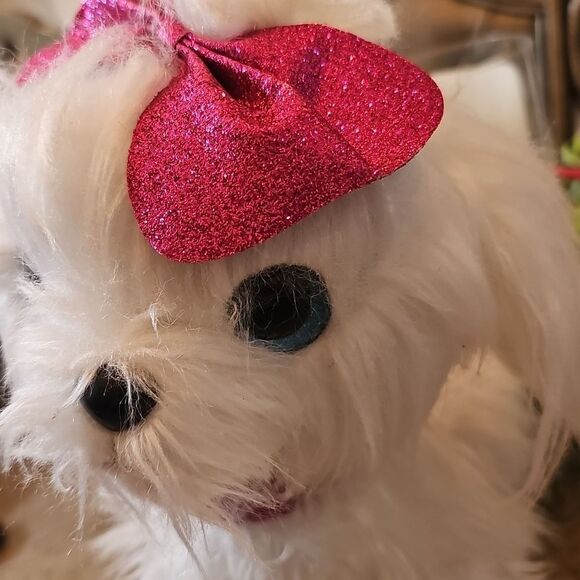 Guru pets walking, barking Maltese dog - Picture 4 of 8